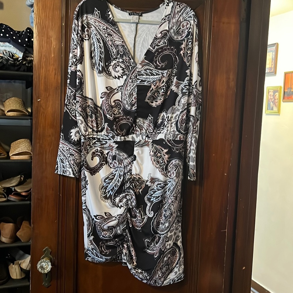Venus Asymmetrical Ruched Dress